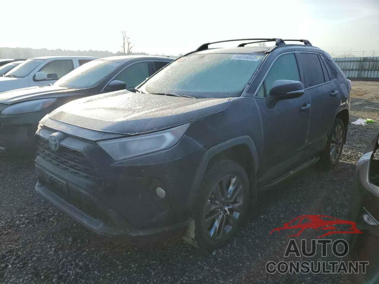 TOYOTA RAV4 2019 - 2T3A1RFV6KW053597