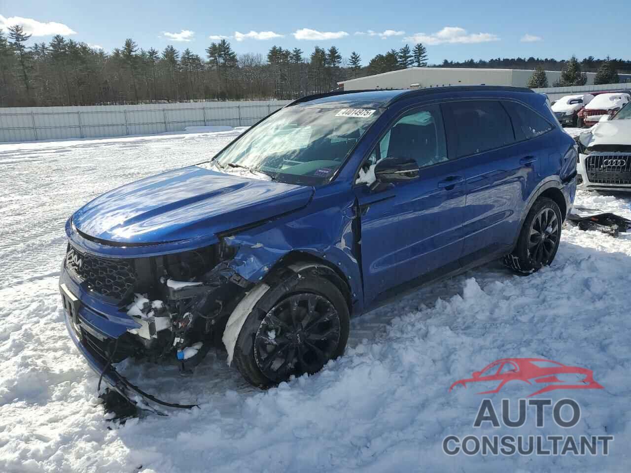 KIA SORENTO 2023 - 5XYRKDLF0PG195546