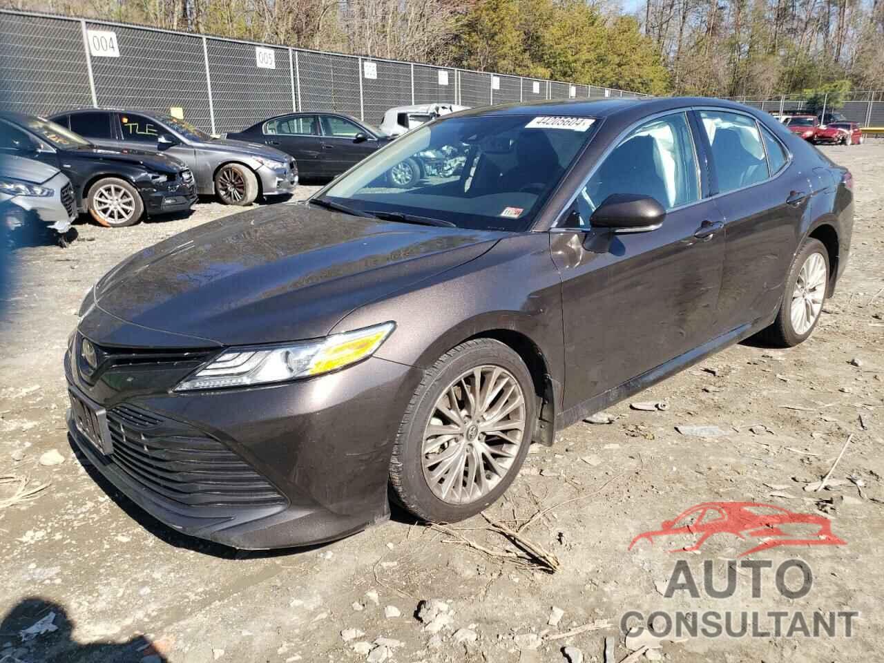 TOYOTA CAMRY 2019 - 4T1B11HK6KU700596