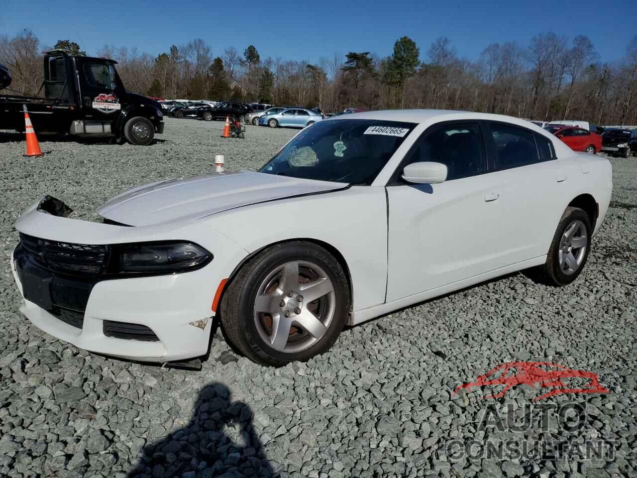 DODGE CHARGER 2021 - 2C3CDXAT8MH528006