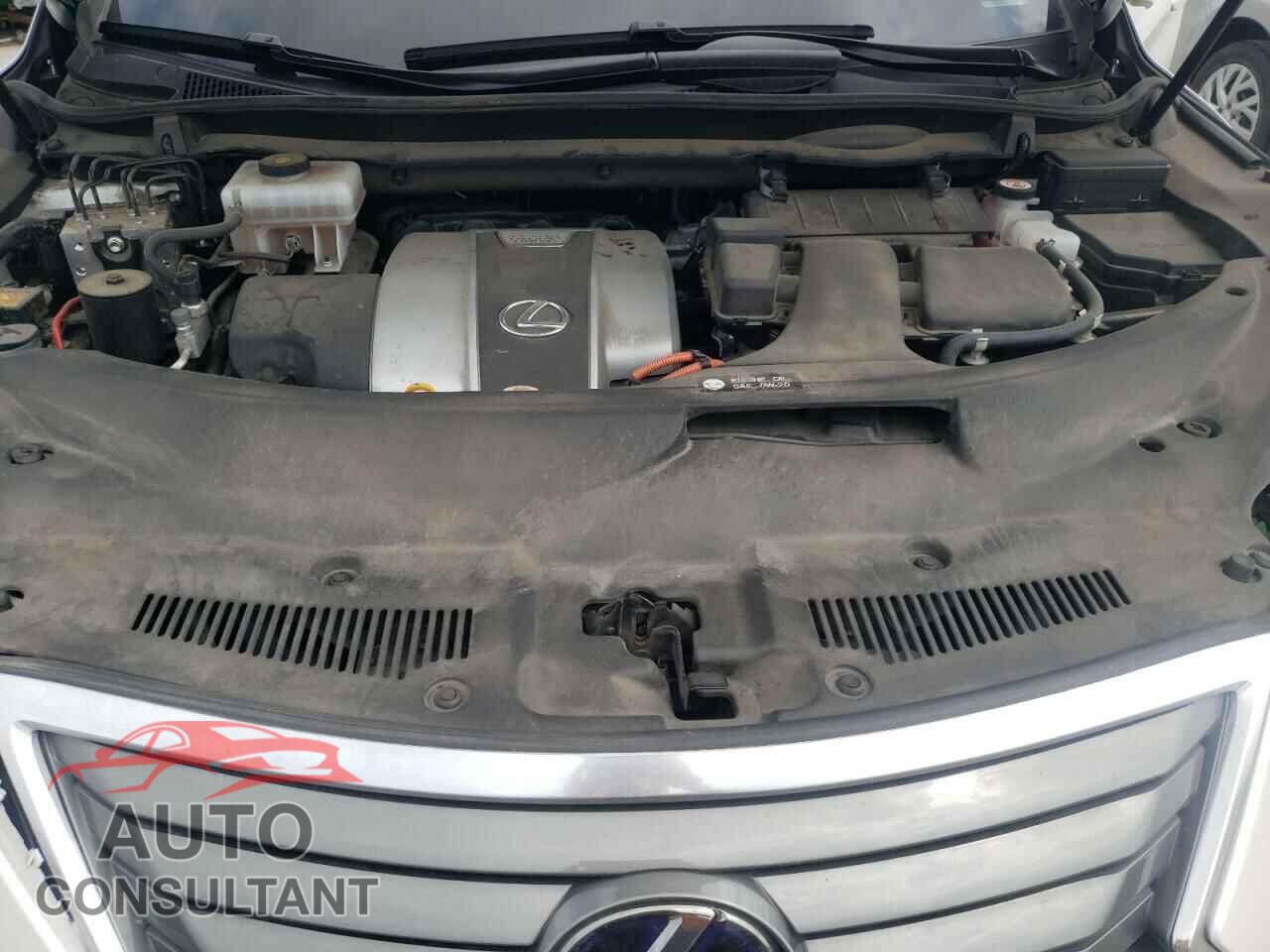 LEXUS RX450 2019 - 2T2BGMCA5KC036996