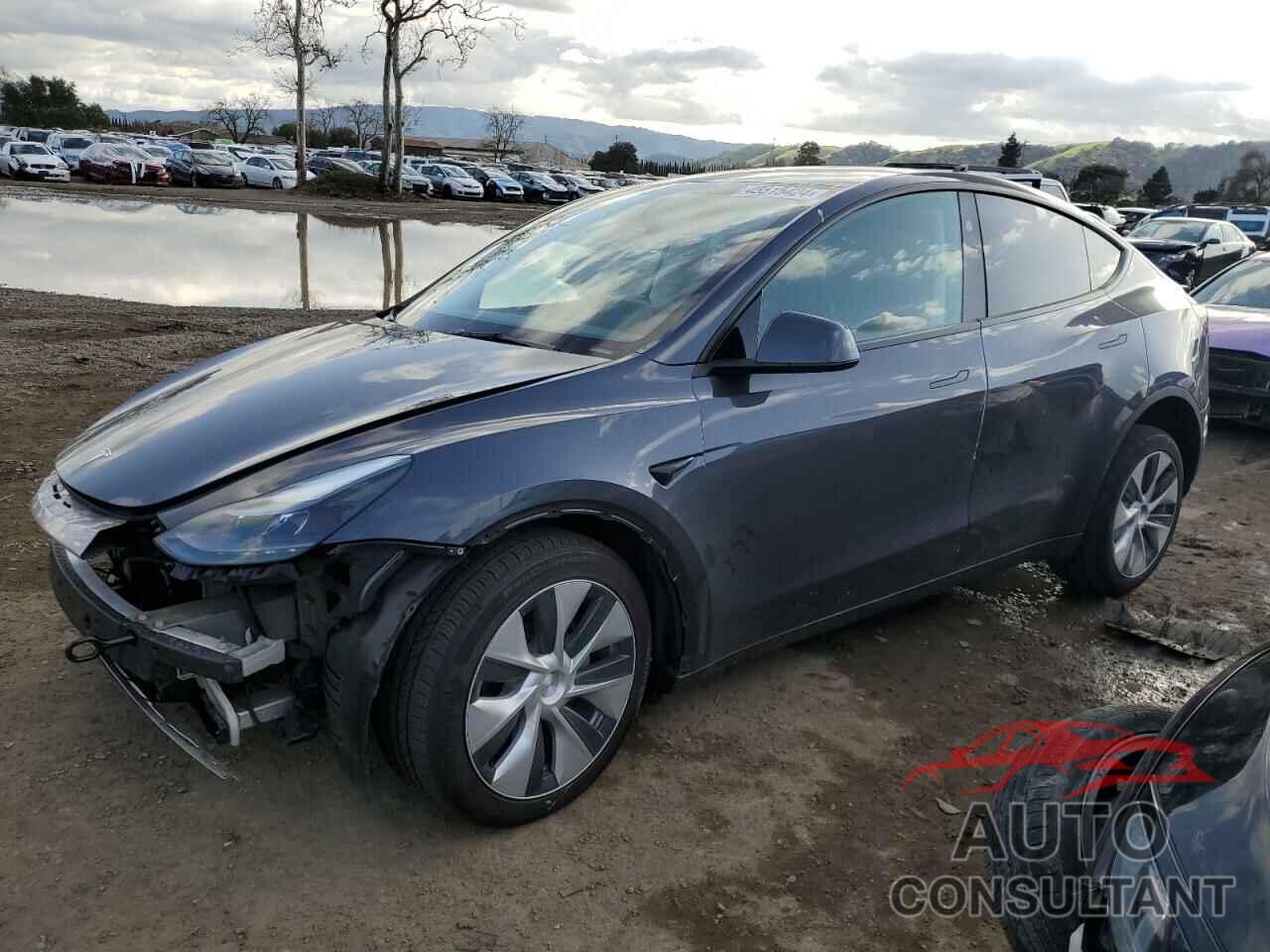 TESLA MODEL Y 2023 - 7SAYGDEEXPF814424