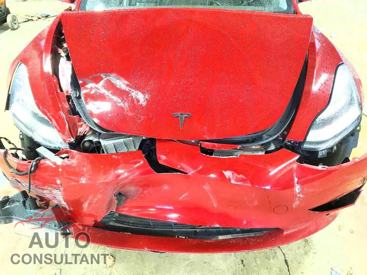 TESLA MODEL 3 2019 - 5YJ3E1EB9KF413392