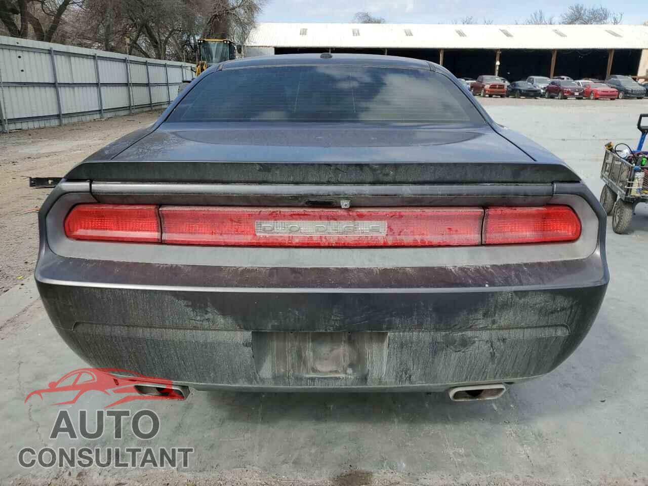 DODGE CHALLENGER 2013 - 2C3CDYBT2DH652132