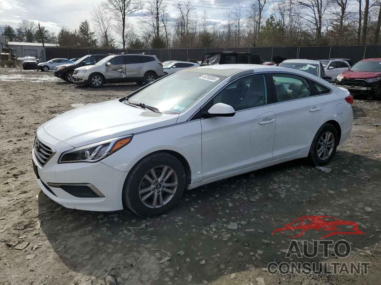 HYUNDAI SONATA 2017 - 5NPE24AF8HH488882