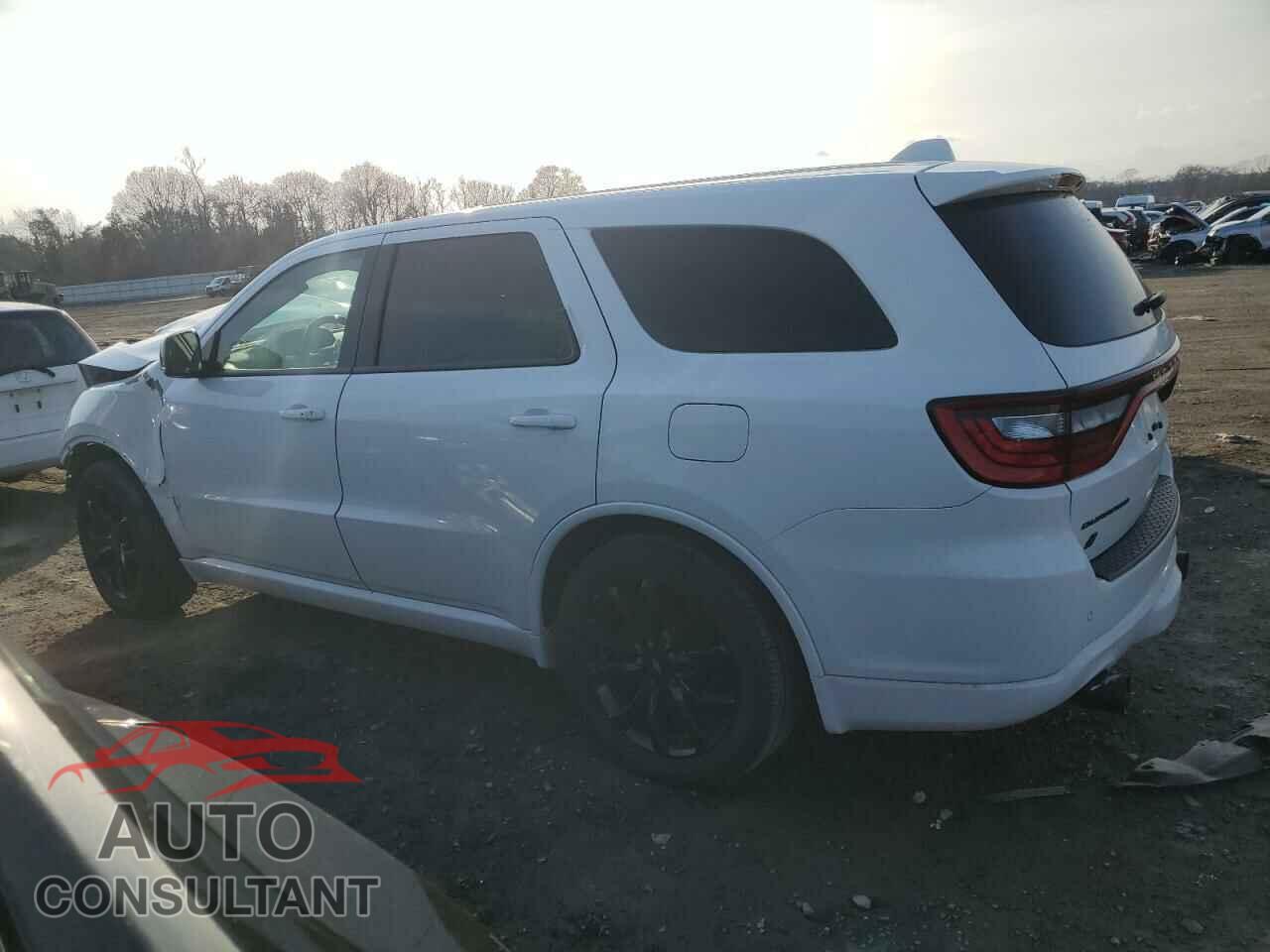 DODGE DURANGO 2019 - 1C4SDJCT7KC836804
