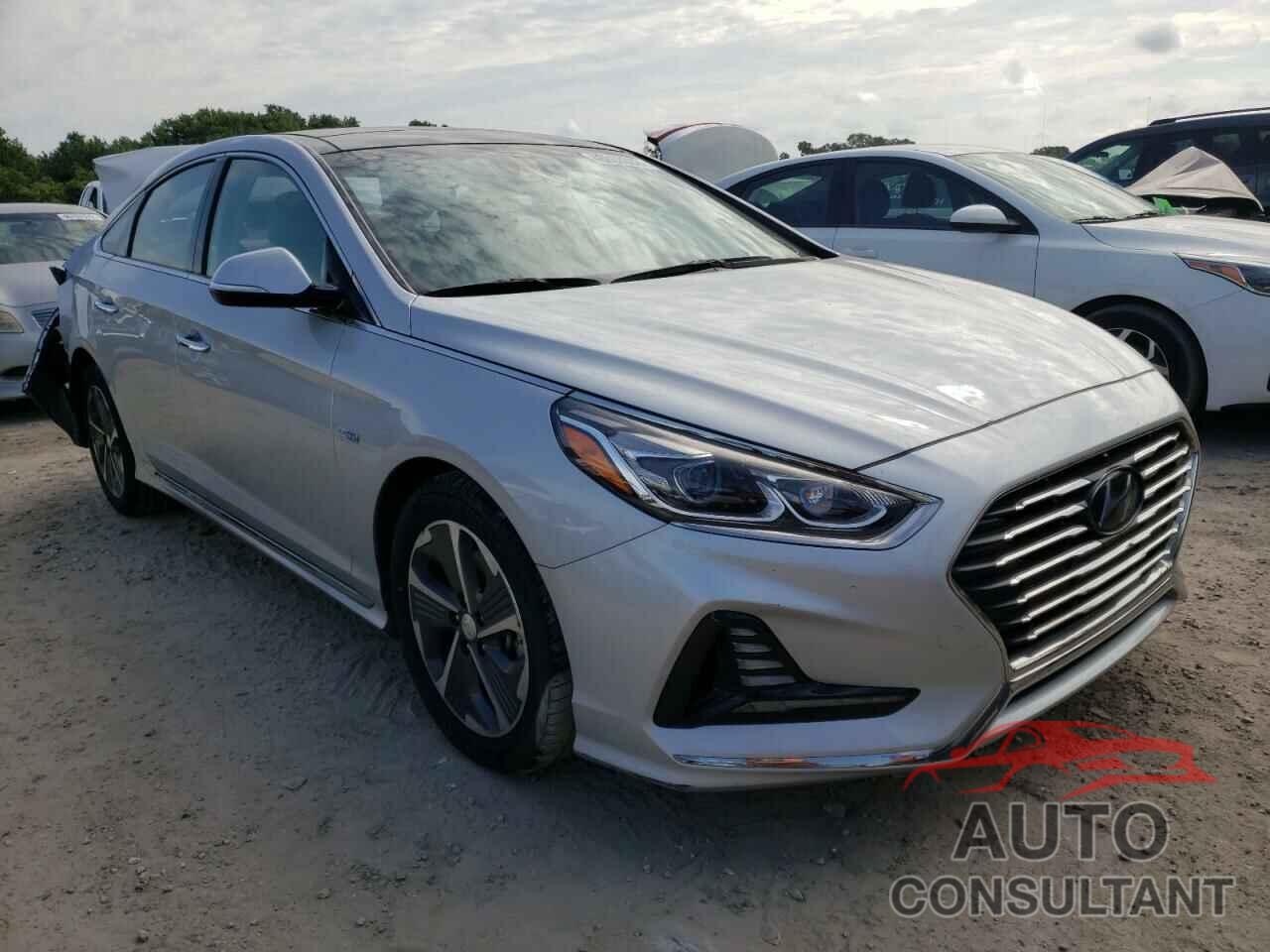 HYUNDAI SONATA 2019 - KMHE34L31KA093288