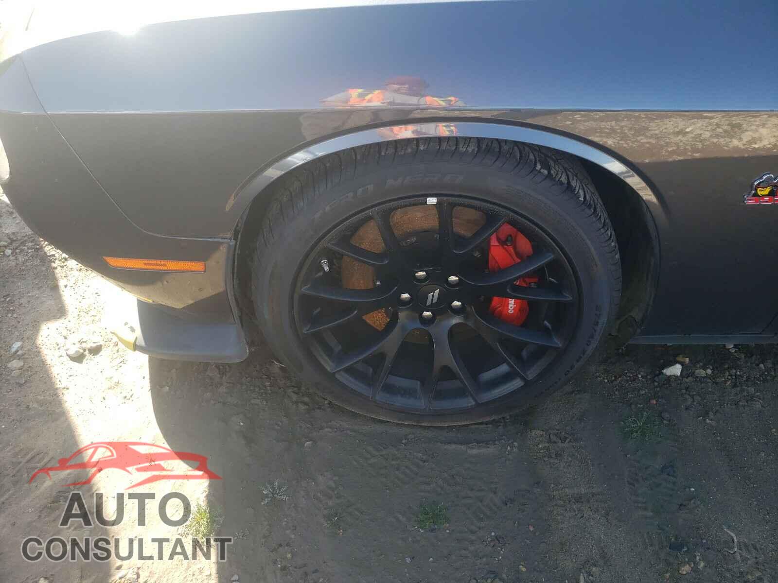 DODGE CHALLENGER 2019 - 2C3CDZFJ1KH541471