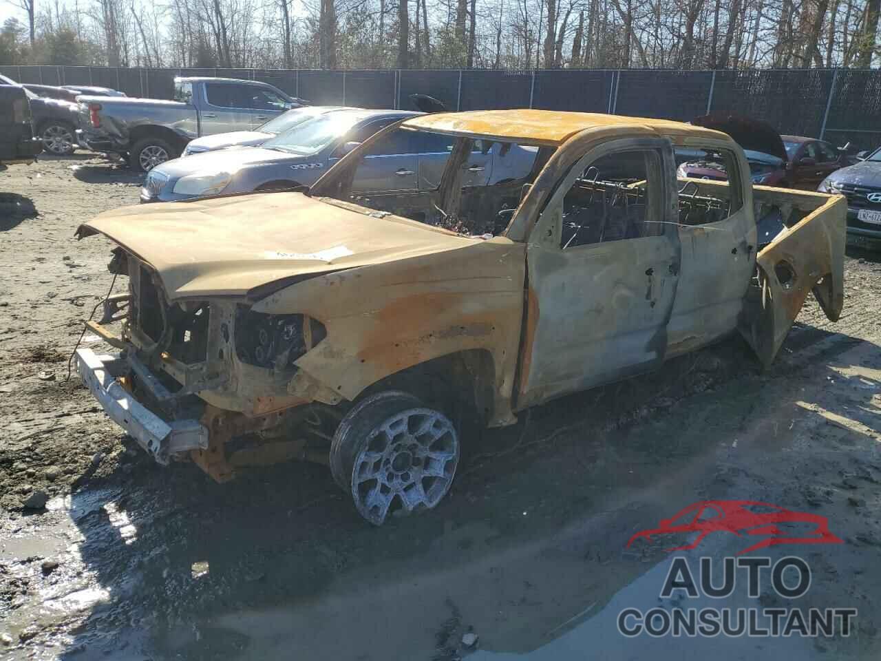 TOYOTA TACOMA 2023 - 3TMCZ5AN9PM623344