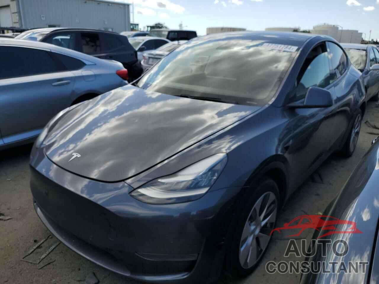 TESLA MODEL Y 2021 - 5YJYGDEE6MF085850