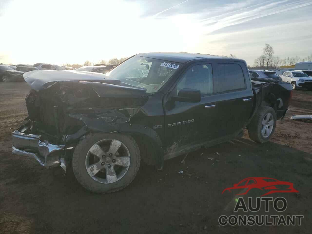 DODGE All Models 2011 - 1D7RV1CT3BS625140
