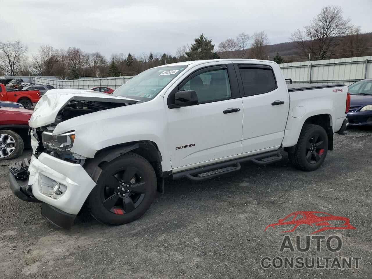 CHEVROLET COLORADO 2020 - 1GCGTCEN2L1129979