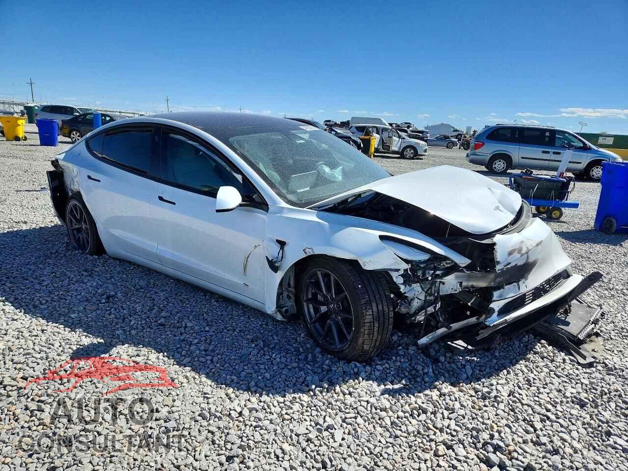TESLA MODEL 3 2021 - 5YJ3E1EA2MF983003