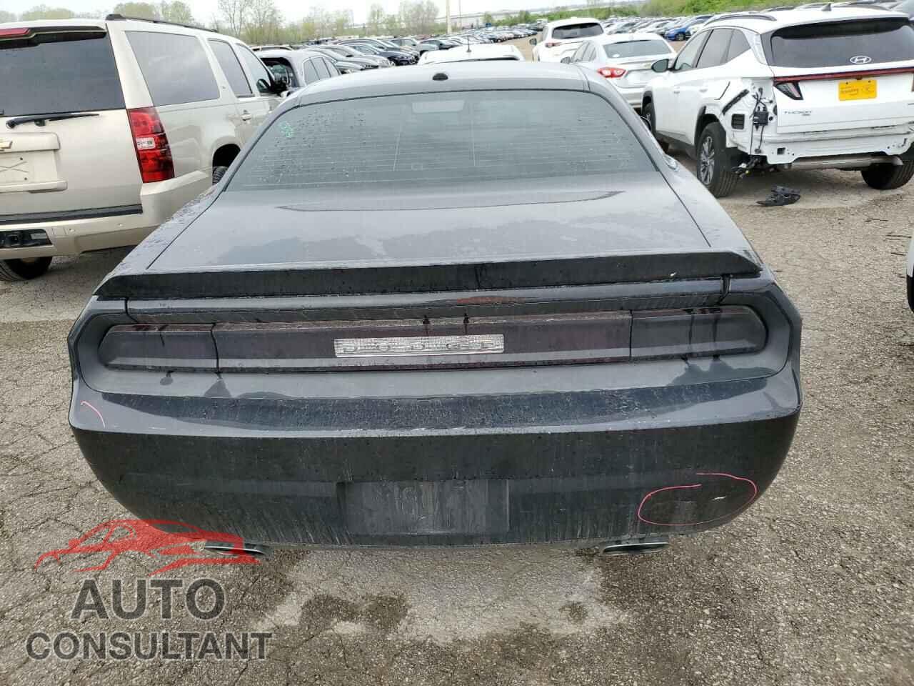 DODGE CHALLENGER 2010 - 2B3CJ5DTXAH200412