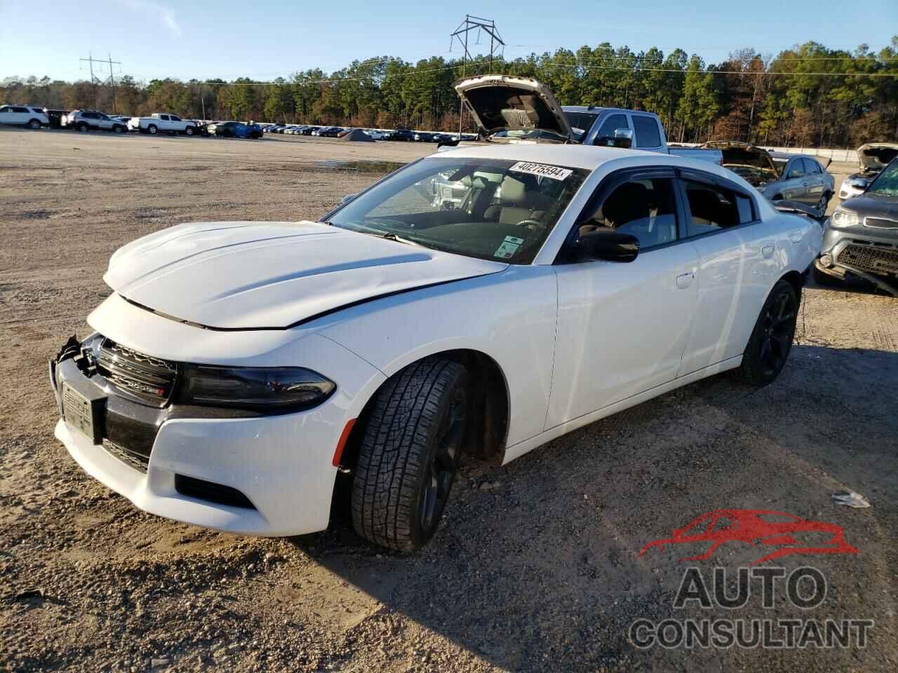 DODGE CHARGER 2020 - 2C3CDXBGXLH190687
