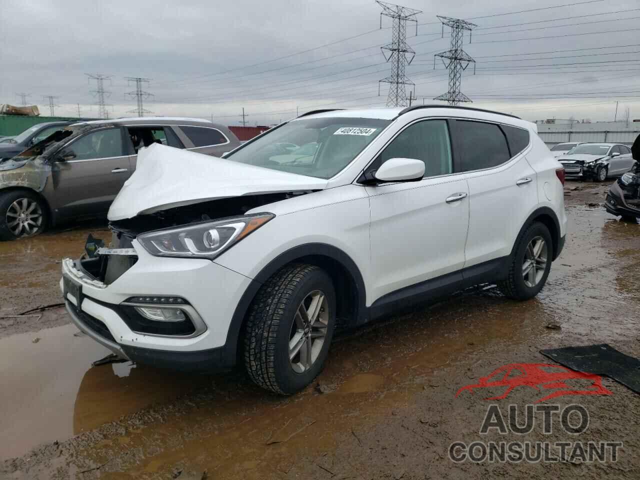 HYUNDAI SANTA FE 2017 - 5NMZUDLB5HH041946