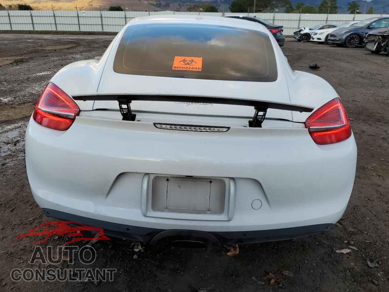 PORSCHE CAYMAN 2015 - WP0AA2A85FK164858