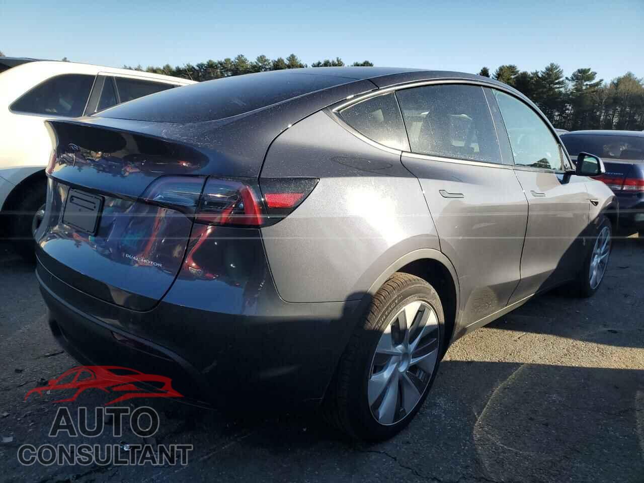 TESLA MODEL Y 2023 - 7SAYGDEE3PF849869