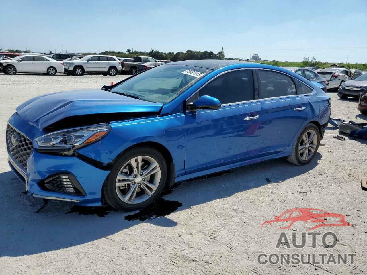 HYUNDAI SONATA 2019 - 5NPE34AF0KH735087