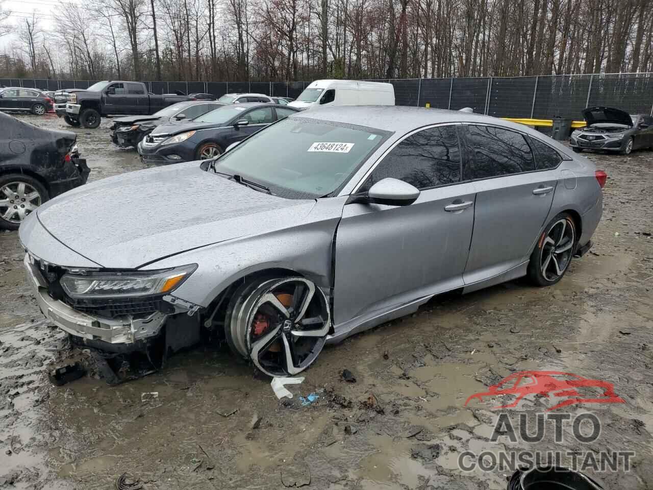 HONDA ACCORD 2019 - 1HGCV1E3XKA005857