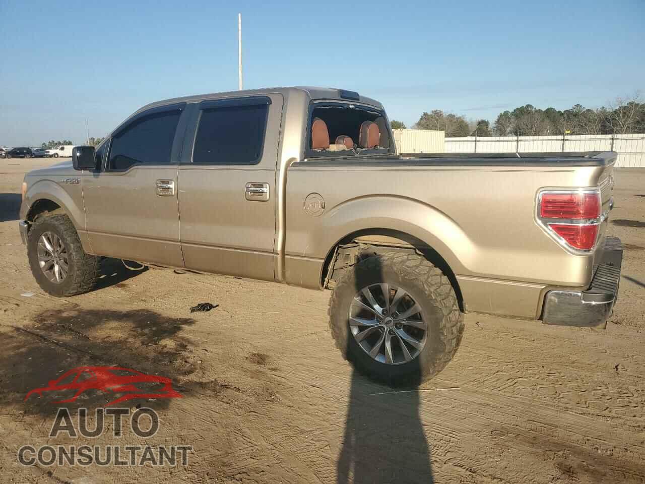 FORD F-150 2013 - 1FTFW1CF5DFD62259
