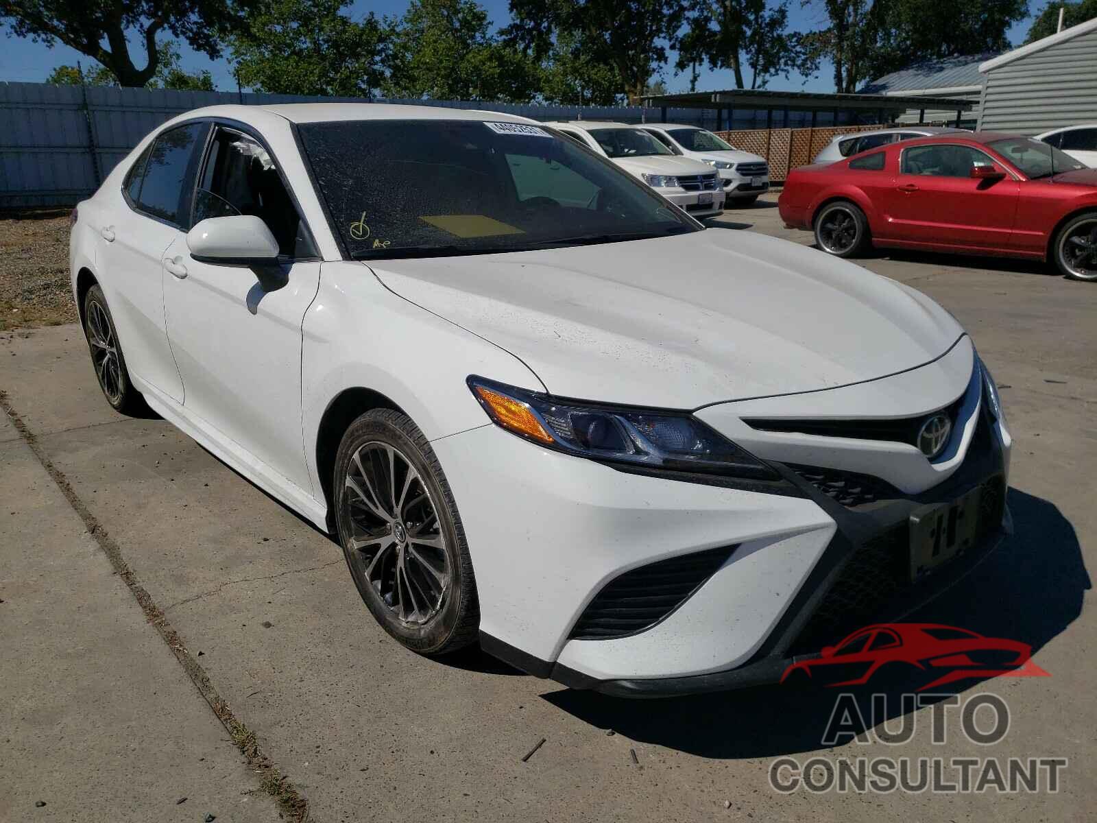 TOYOTA CAMRY 2019 - 4T1B11HK5KU702727