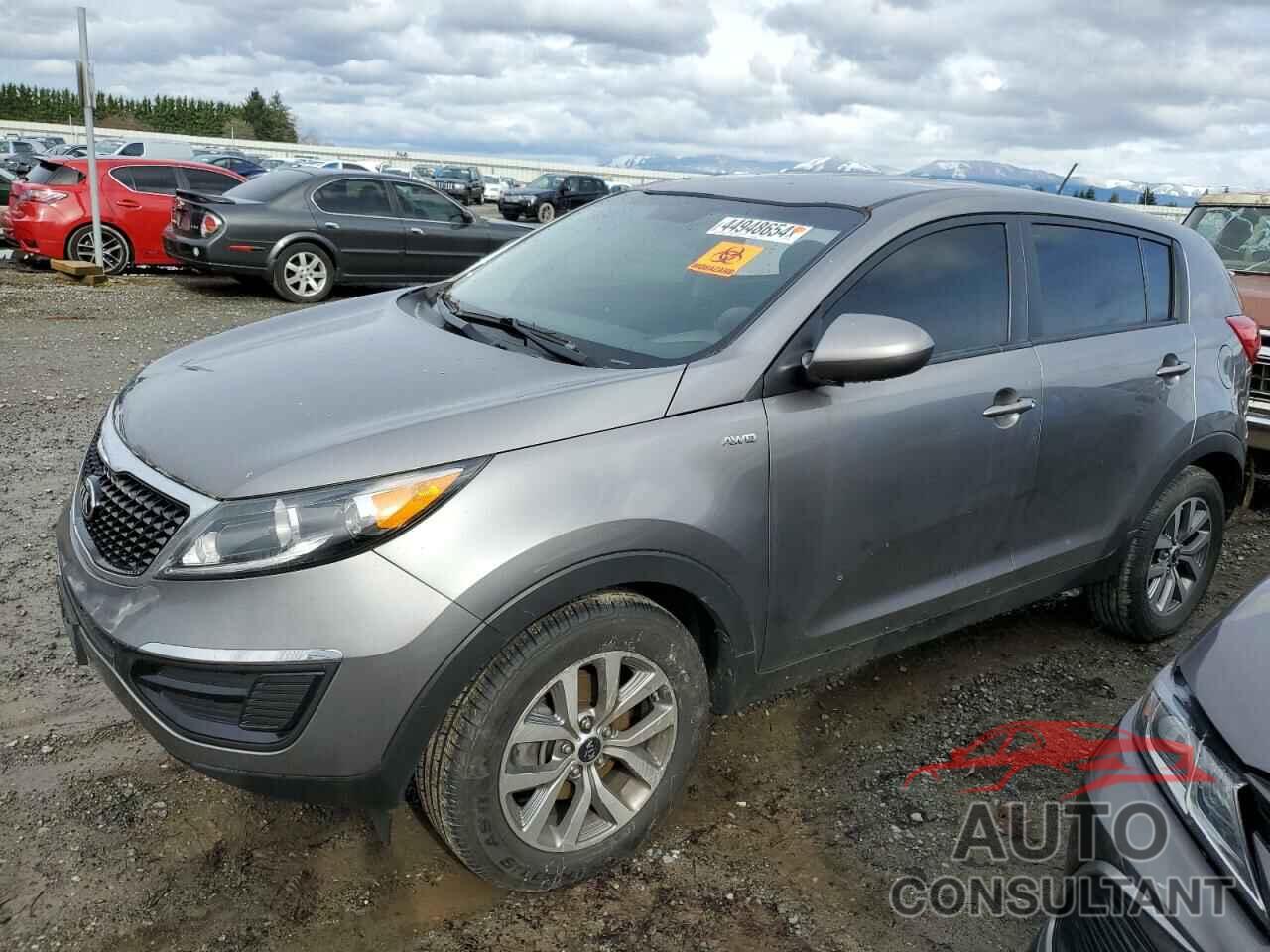 KIA SPORTAGE 2016 - KNDPBCAC3G7826068