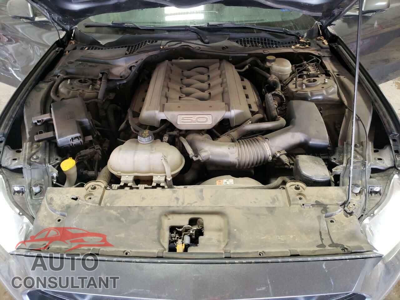 FORD MUSTANG 2017 - 1FA6P8CF6H5229047
