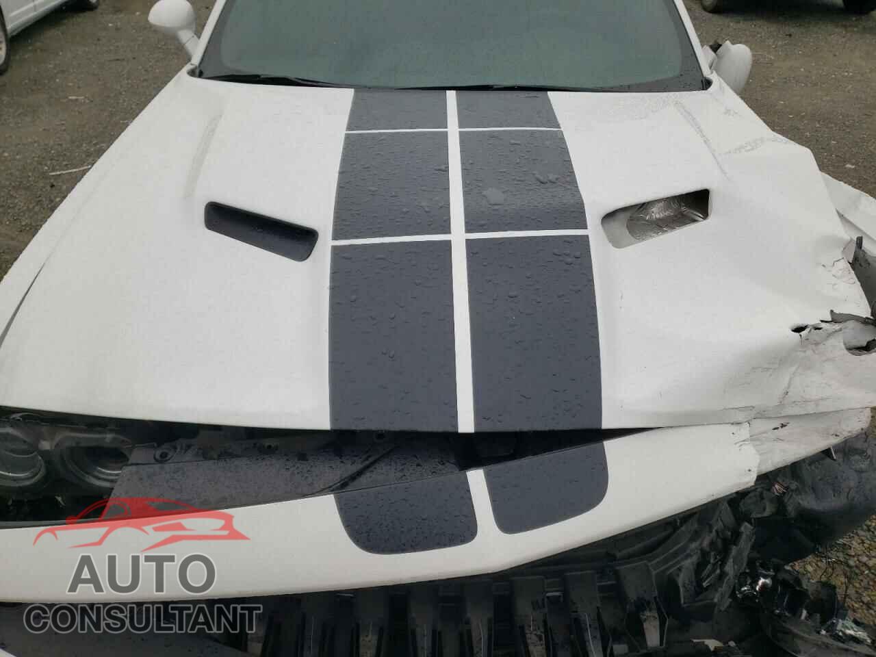 DODGE CHALLENGER 2017 - 2C3CDZAG4HH573206