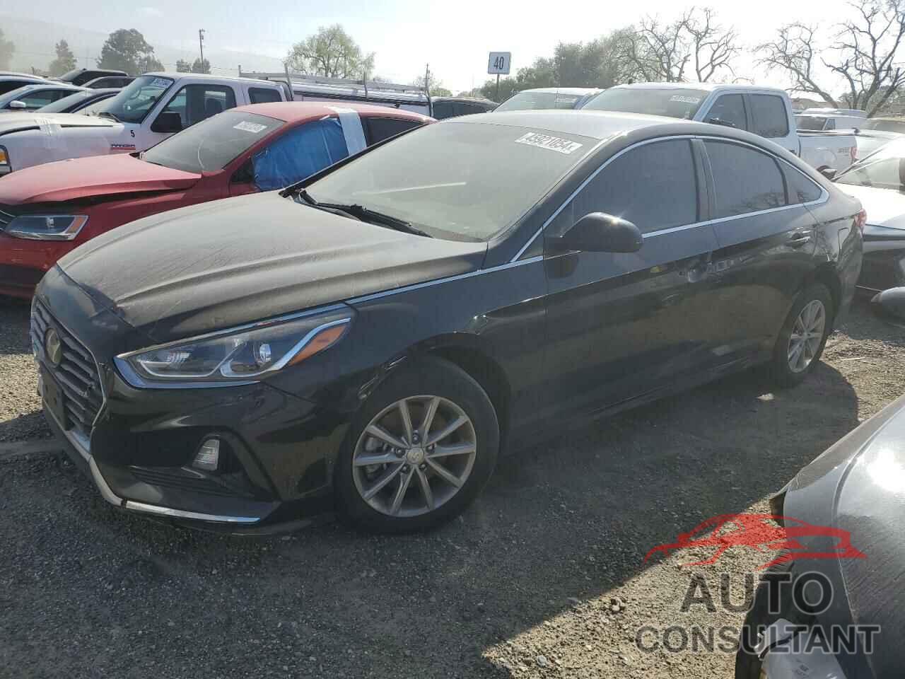 HYUNDAI SONATA 2019 - 5NPE24AF0KH775981
