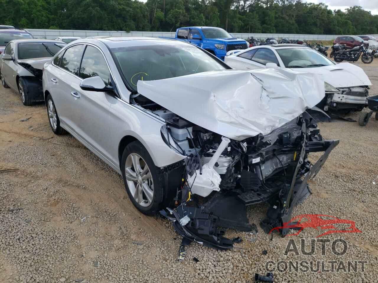 HYUNDAI SONATA 2019 - 5NPE34AF0KH760300