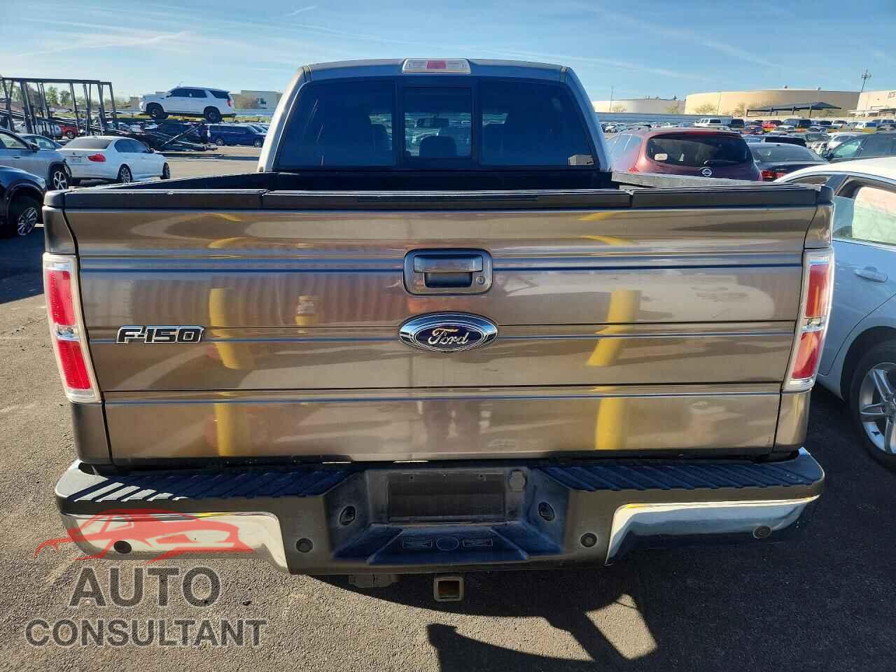 FORD F150 2013 - 1FTFW1CT1DFA92579