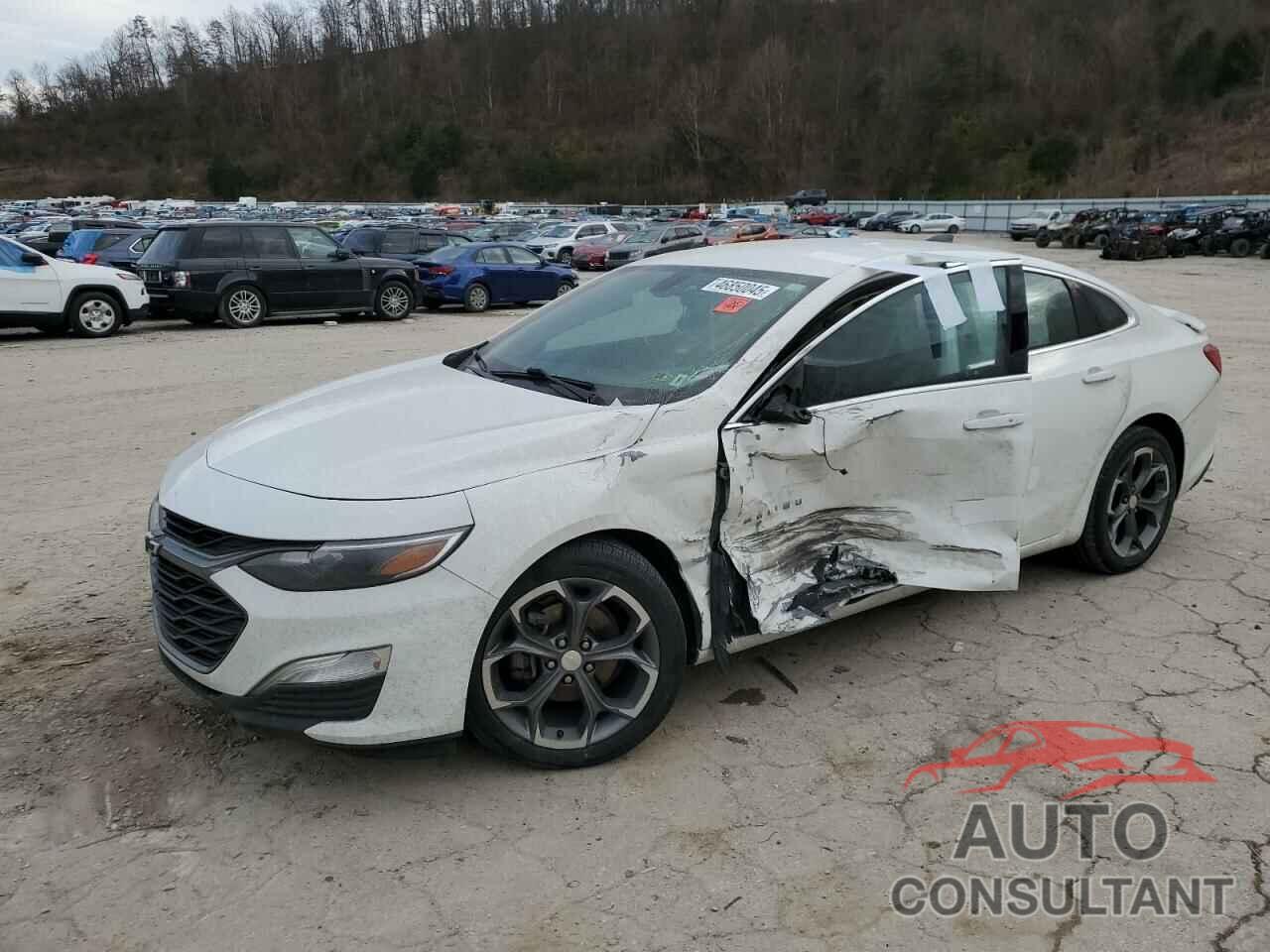 CHEVROLET MALIBU 2019 - 1G1ZG5ST8KF193319