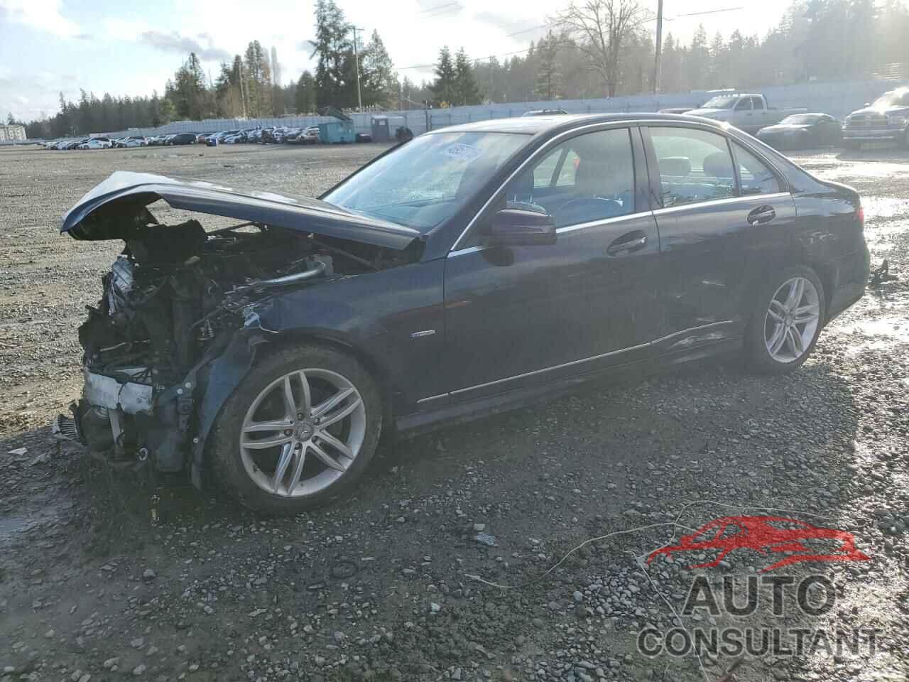 MERCEDES-BENZ C-CLASS 2012 - WDDGF4HB1CA610259