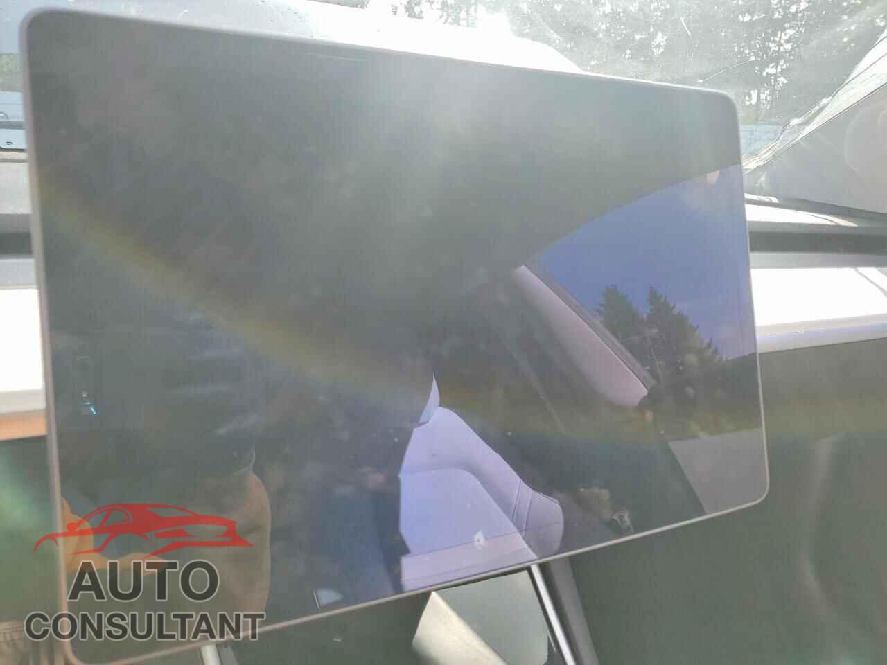 TESLA MODEL 3 2019 - 5YJ3E1EB2KF367355