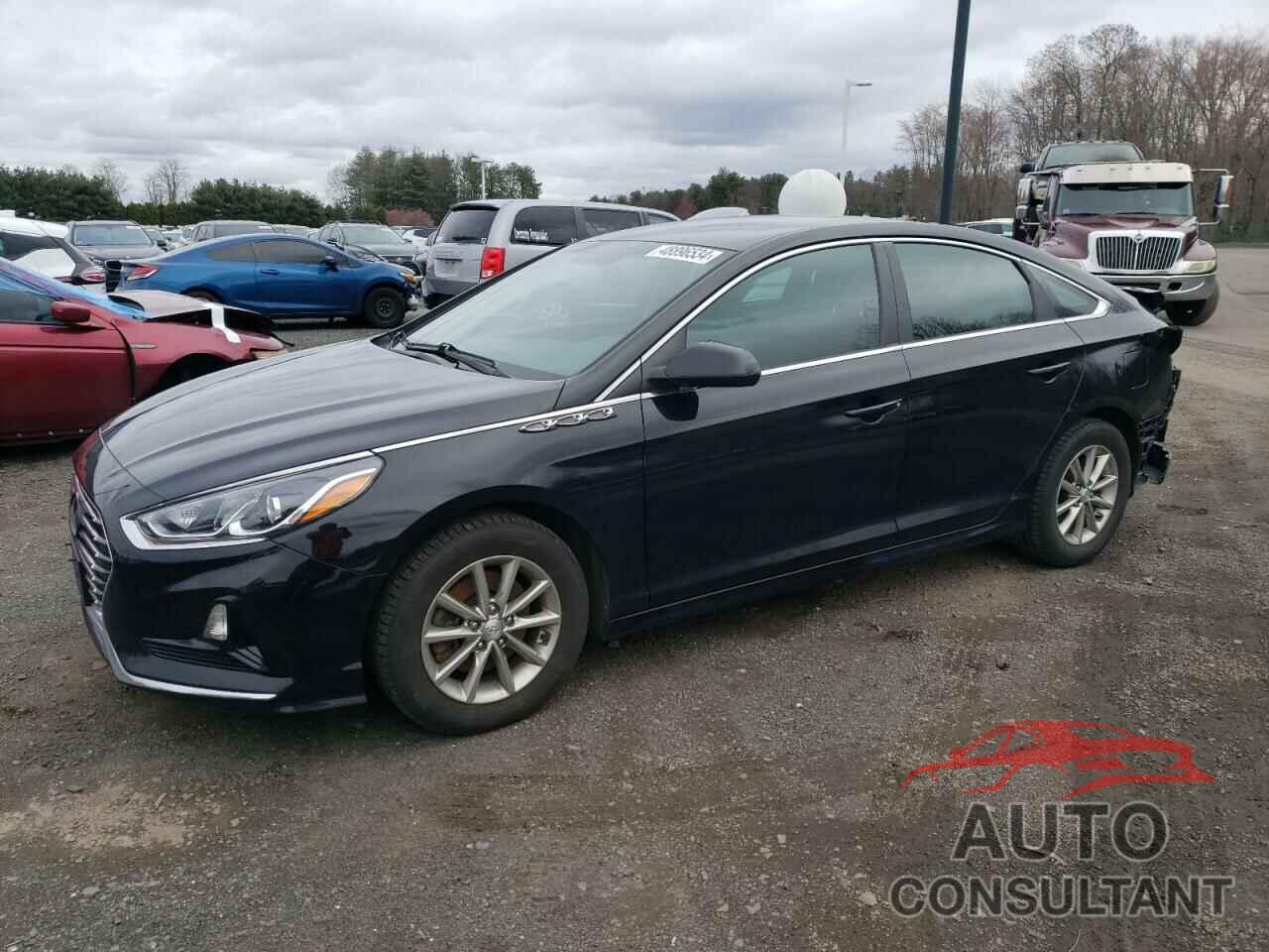 HYUNDAI SONATA 2019 - 5NPE24AF0KH734993