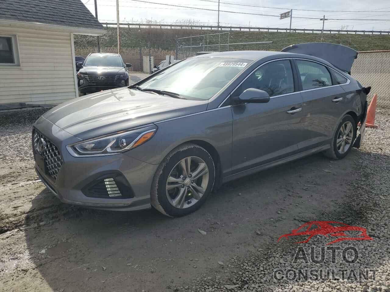 HYUNDAI SONATA 2019 - 5NPE34AF4KH810602