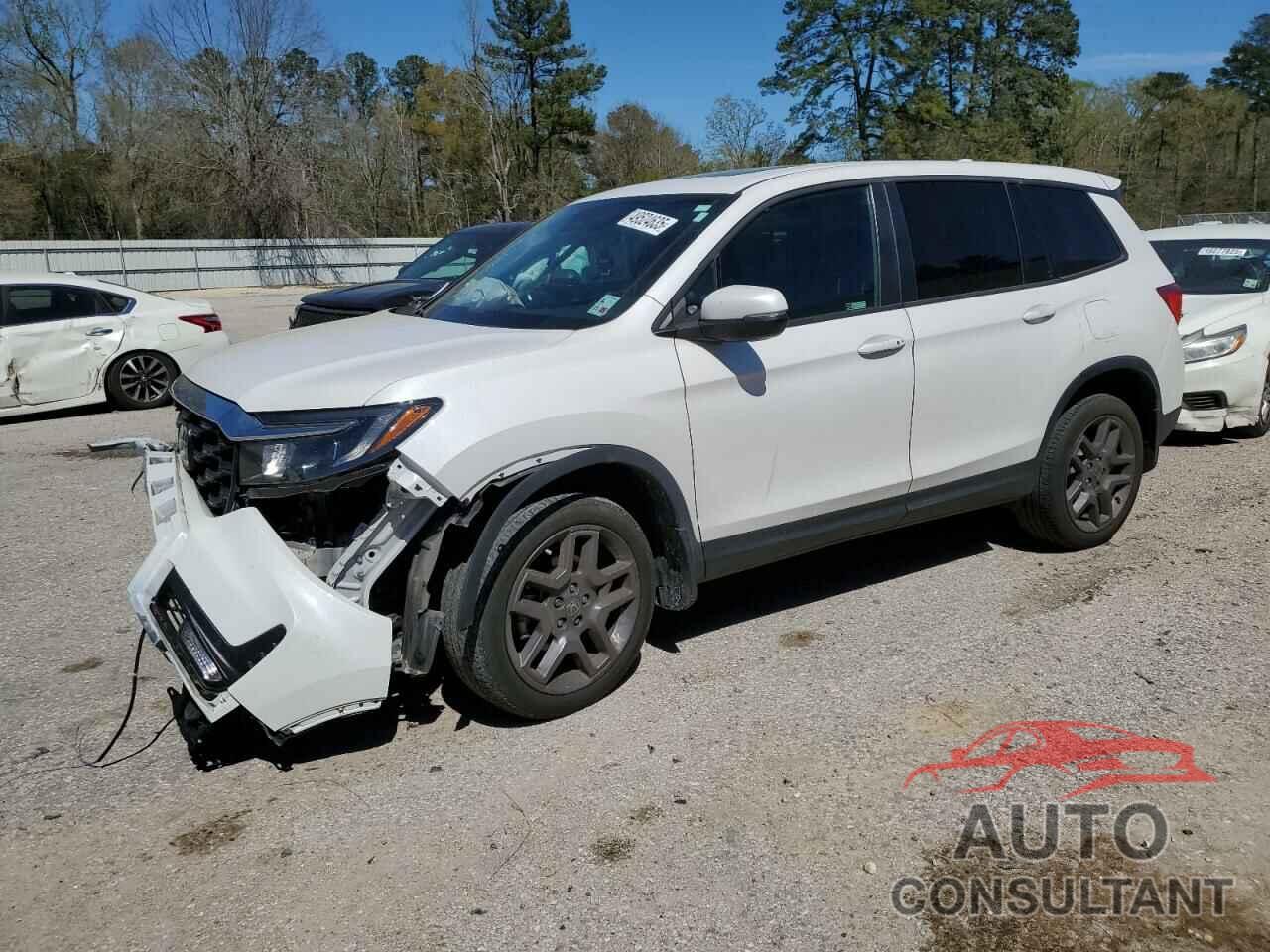 HONDA PASSPORT 2023 - 5FNYF8H54PB017234