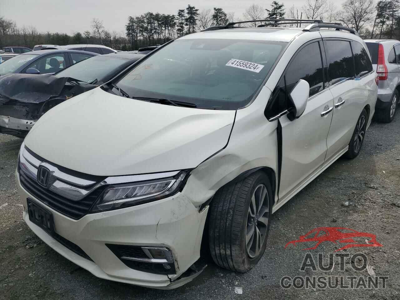 HONDA ODYSSEY 2019 - 5FNRL6H95KB005798