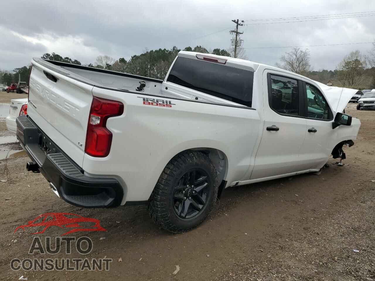 CHEVROLET SILVERADO 2021 - 3GCPYFED2MG472000