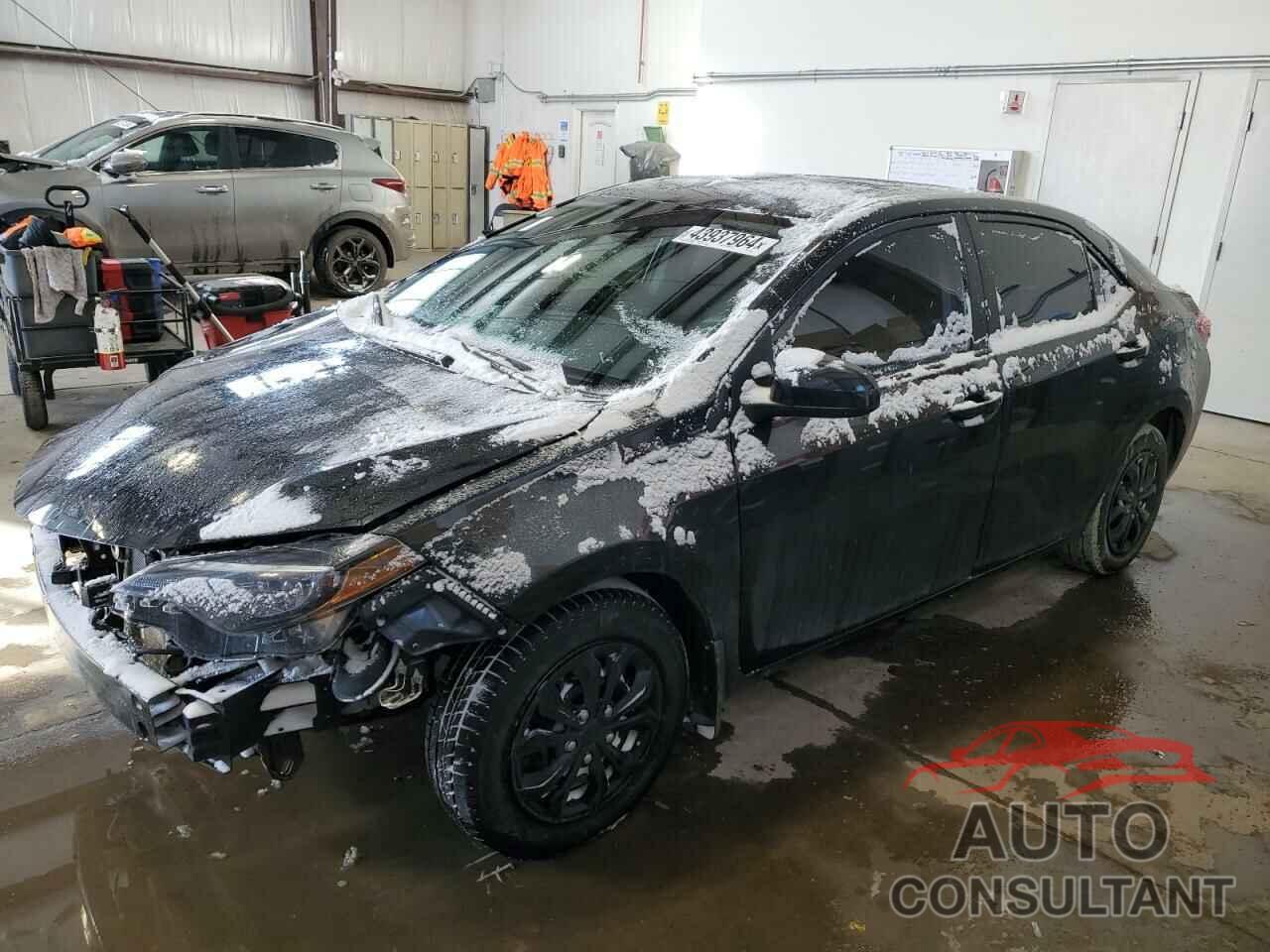 TOYOTA COROLLA 2019 - 2T1BURHE8KC214115