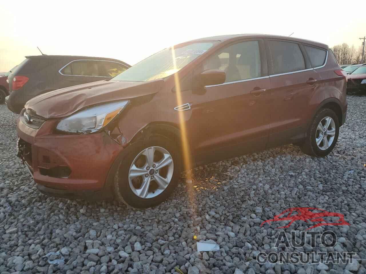FORD ESCAPE 2016 - 1FMCU0GX8GUB14136