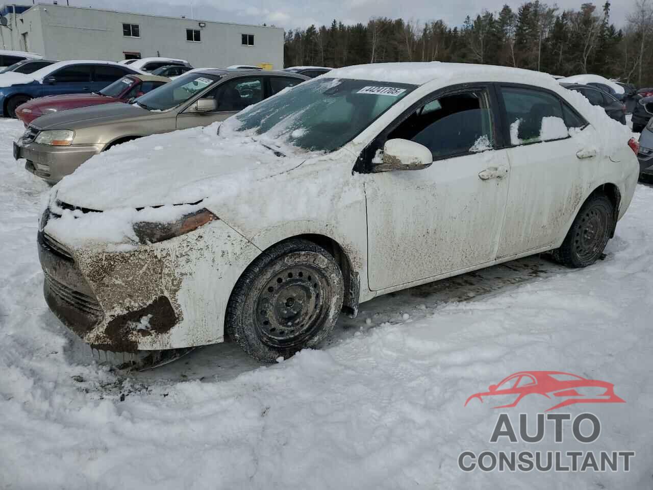 TOYOTA COROLLA 2017 - 2T1BURHE2HC799945