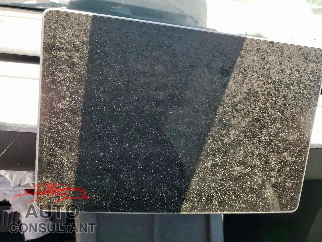 TESLA MODEL Y 2023 - 7SAYGDEEXPF618449