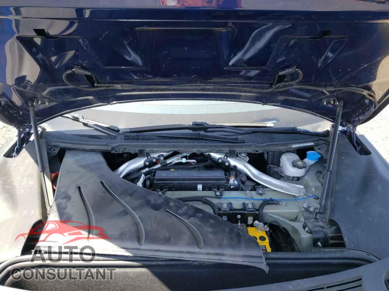 TESLA MODEL S 2019 - 5YJSA1E2XKF299989