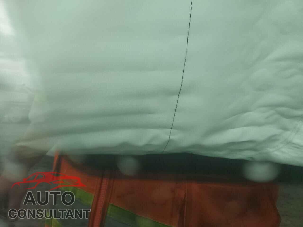 TESLA MODEL 3 2019 - 5YJ3E1EB0KF208995