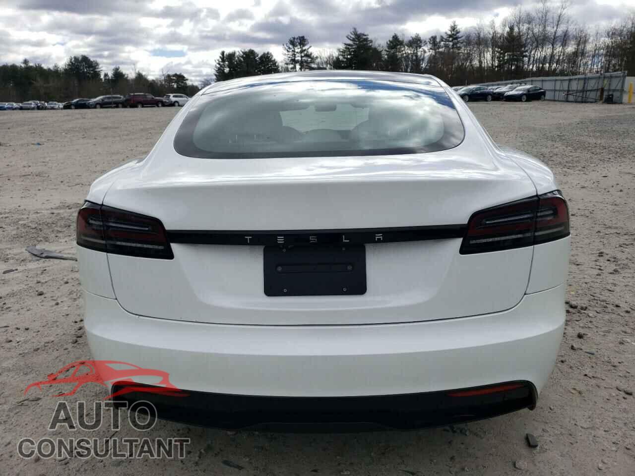 TESLA MODEL S 2023 - 5YJSA1E59PF528504