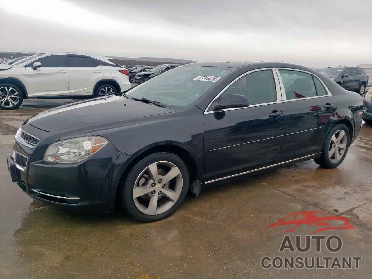 CHEVROLET MALIBU 2011 - 1G1ZC5E13BF197445
