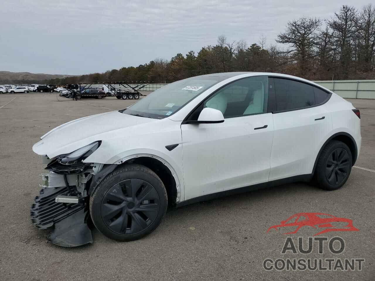 TESLA MODEL Y 2024 - 7SAYGDEE0RA301618