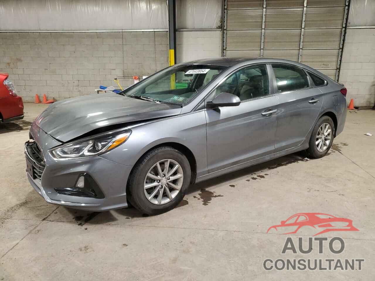 HYUNDAI SONATA 2019 - 5NPE24AF9KH784291